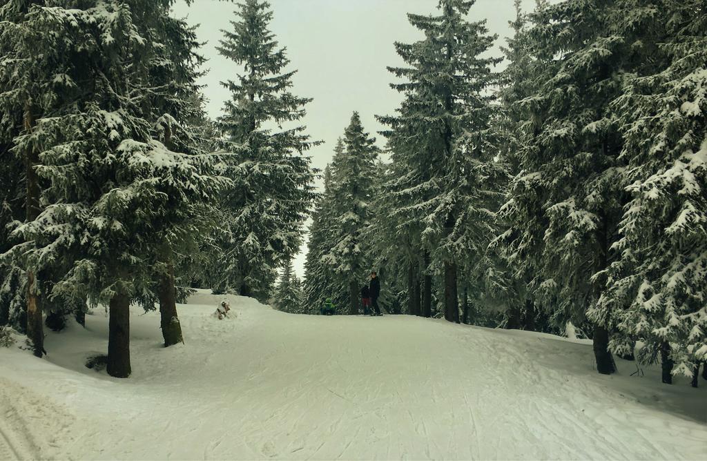 Pokoje Goscinne Pod Sosnami Karpacz Dış mekan fotoğraf